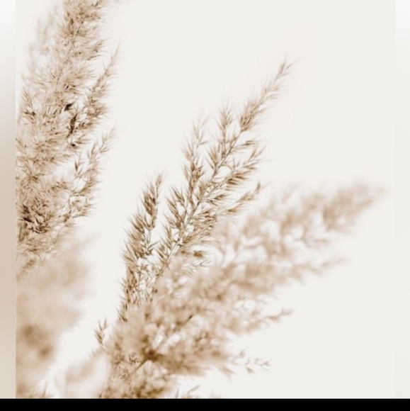 Meet your Poshers, - Picture 8 of 10